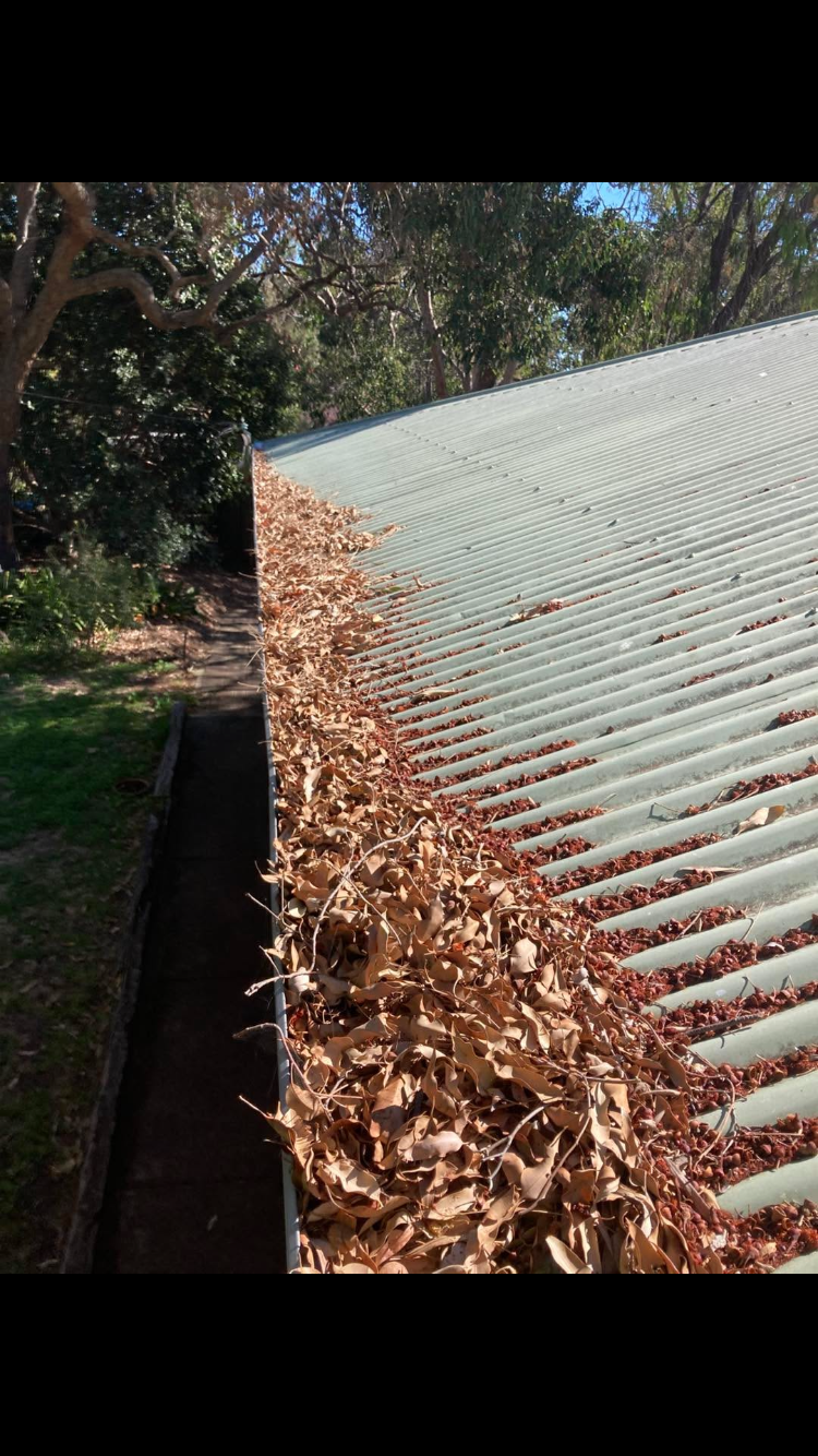 JC Roofing job — tiled roof repair